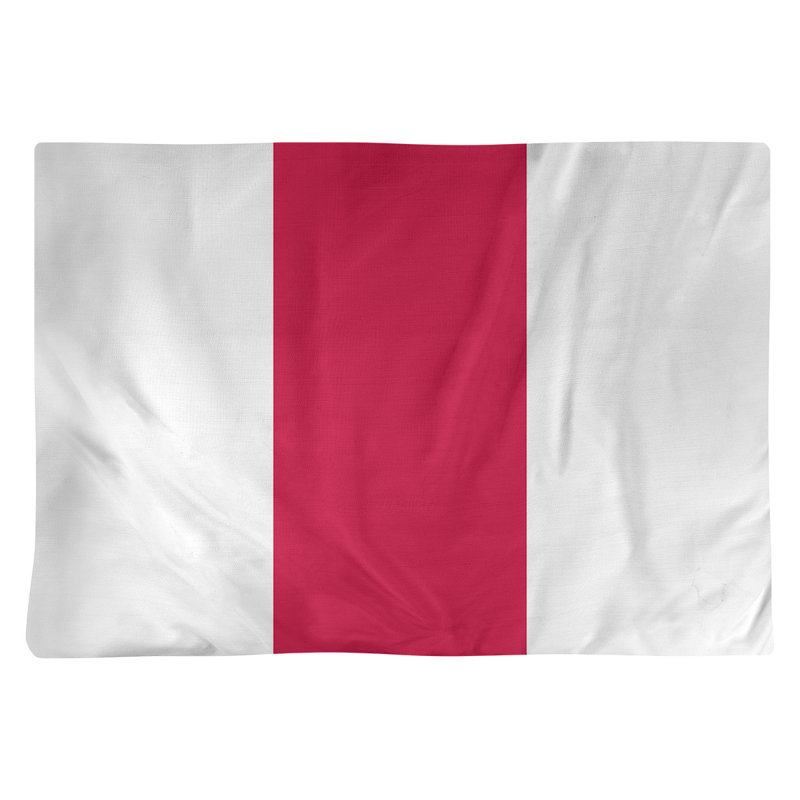 Récapitulatif 18" basket Toronto, Blanc / rouge / blanc, Polyester