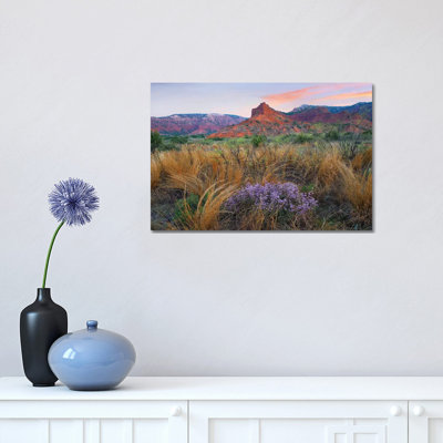 Caprock Canyons State Park, Texas - Horizontal by Tim Fitzharris - Wrapped Canvas Print