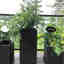 Photos des clients 2 de 2
