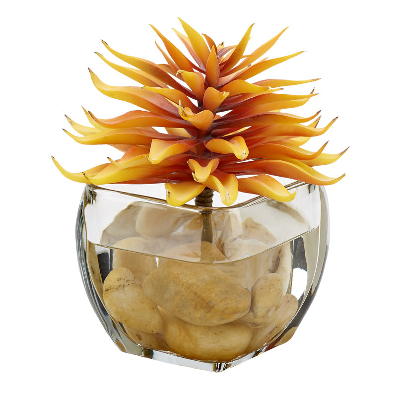 Tige de plante grasse simple dans un cube de verre, Orange