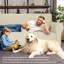 Housse pour fauteuil-1511508526