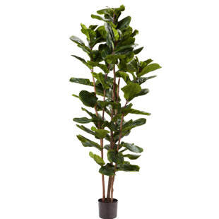 182.88cm Faux Fiddle Leaf Fig Tree in Planter