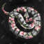 Poisonous Flowers - Black Wildlife-480523707-480523708