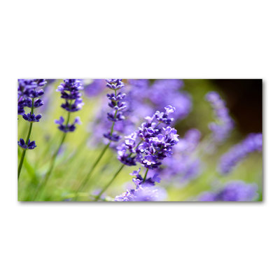 Lavender - Wrapped Canvas Print