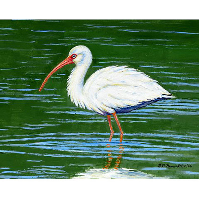 Récapitulatif 18" ibis Ansley