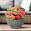 Reinforced Stone Bowl Planter, Lightweight Frostproof Outdoor Plant Pot, Bonsai Pot, Garden Planter with Drainage Holes, Alpine Shallow Planter-1167350049-1167350048