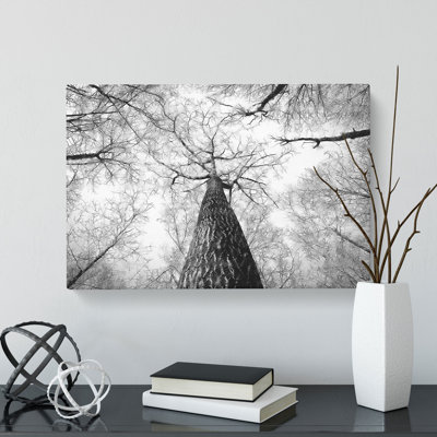 Below The Forest - Wrapped Canvas Photograph - Wrapped Canvas