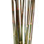 Zellmer 36'' H Preserved Plume Reed Bundle-2133009284
