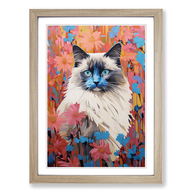 XYZ-FRM-V1223-5362 Ragdoll Cat Colour Field No.4 - Single Picture Frame Print on Wood, Oak, 64cm H x 46cm W x 2cm D