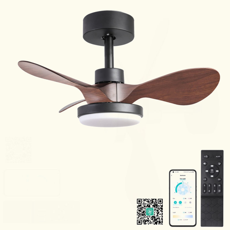 Petit ventilateur de plafond 24 po avec télécommande légère, ventilateur de plafond moderne à profil bas, moteur CC réversible silencieux à 6 vitesses pour la chambre à coucher, cuisine