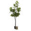 Figuier en figuier avec pot Portell-840316664-840316667