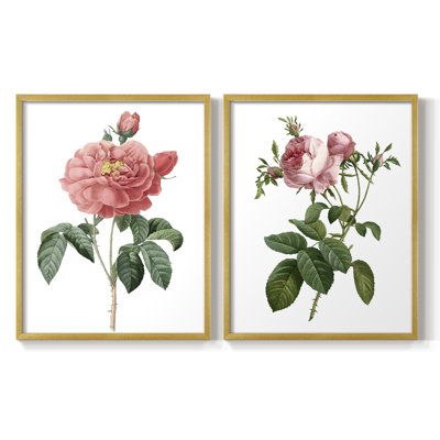 «Botanical Beauty III», reproduction encadrée de qualité supérieure - prête à être accrochée - aucun clou requis - aucun clou requis