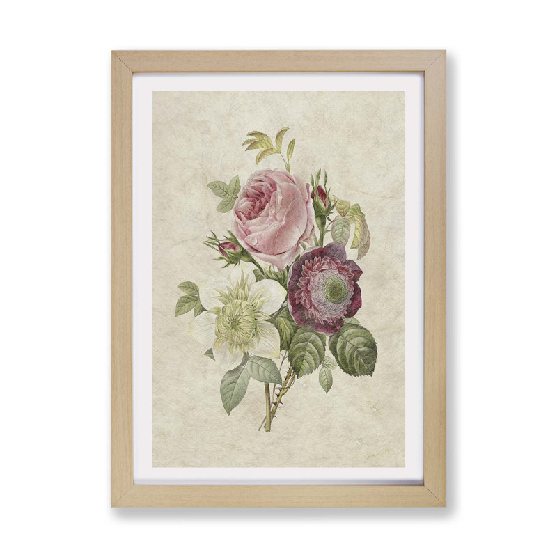 Pink Anemone Rose by Pierre-Joseph Redoute - Framed Print, 45cm H x 63cm W x 2cm D, Oak