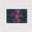 «Sea Urchin Underwater», mur en métal-971313838