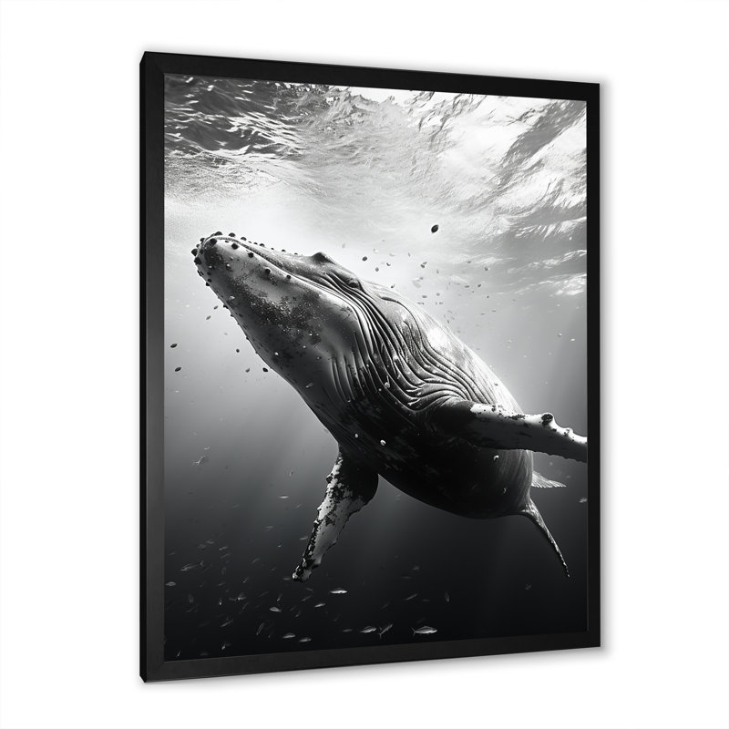 Whale Dance II - Whale Animal, art mural, Cadre simple noir, H 32 po x l 24 po x P 1 po