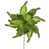 Vert clair