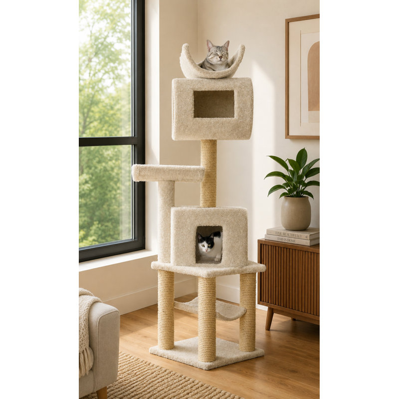New Cat Condos