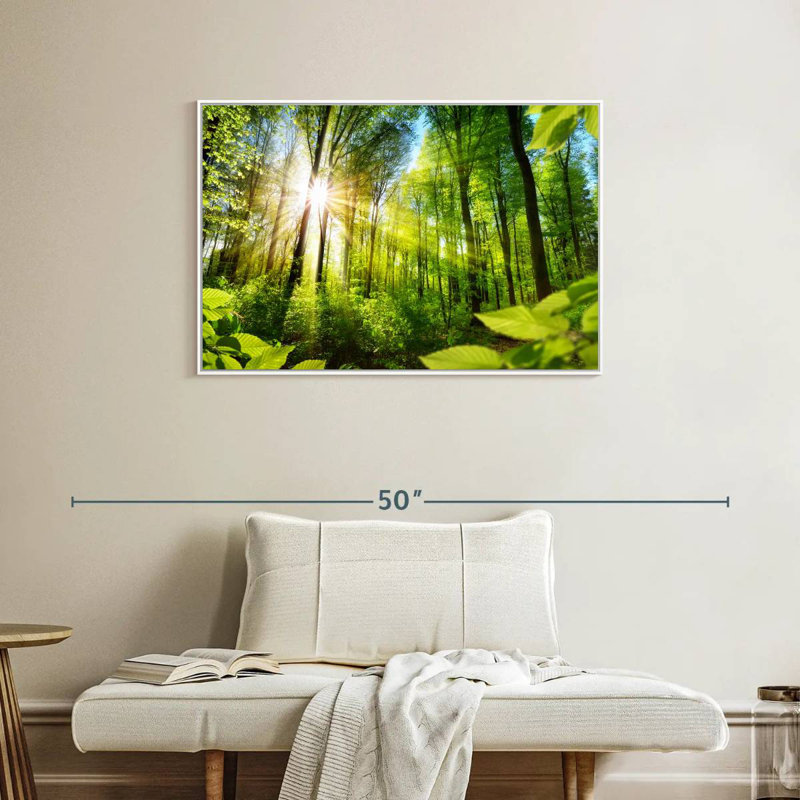 Forêt ensoleillée, Cadre flottant blanc, 37 po x 25 po