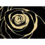 Rose noire - Décoration de salon romantique encadrée sur toile