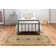 Willett Oriental Indoor Rug