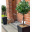 120cm Faux Tree in Pot Liner