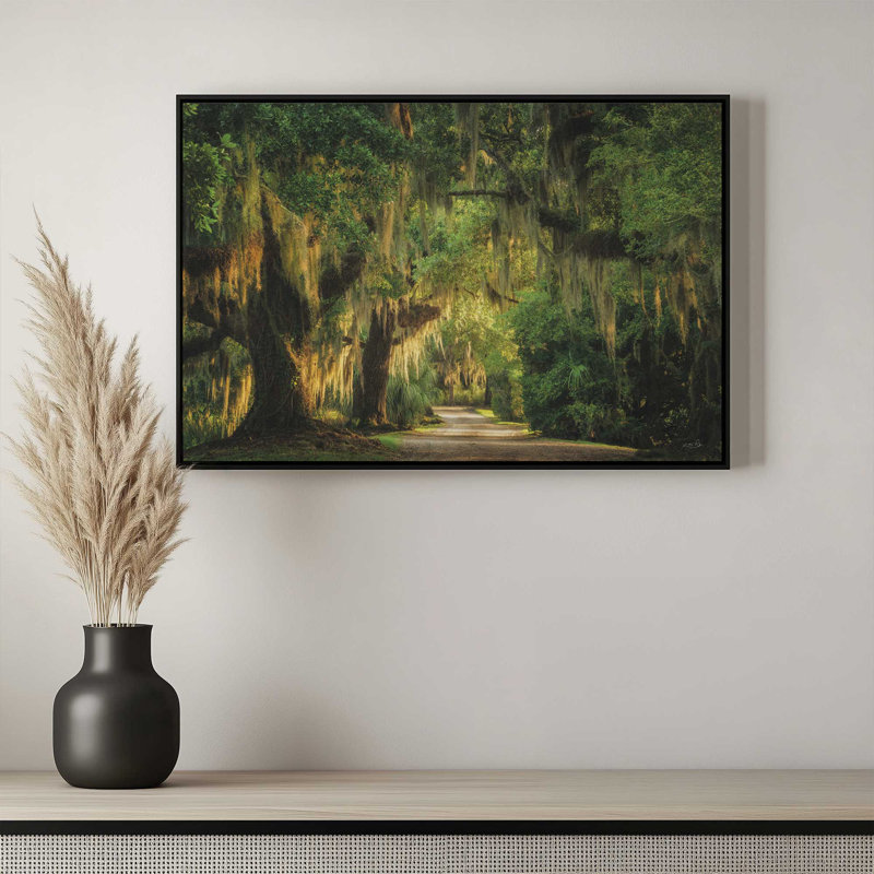 «Moss Draped Path» par Martin Podt, reproduction d'art, 48 W x 32 H, White, Framed Canvas