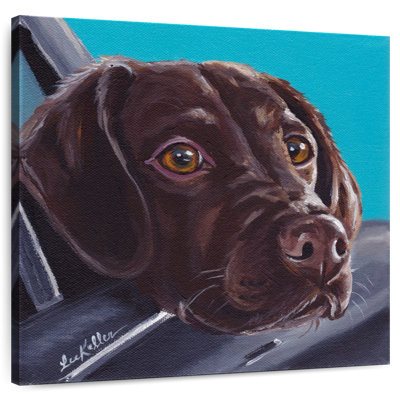 Brampt Chocolate Lab In Car
