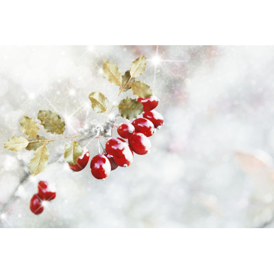 Holly with Snow by Ranasu