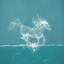 «Water Horse», impression sur toile-74728796-74729485-29280826