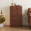 Modern Brown Sideboard