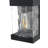 Linch Outdoor Wall Sconce in Black-1283291419