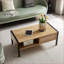 Table basse en rotin naturel avec porte coulissante et pieds en métal pour le salon, rangement peu encombrant