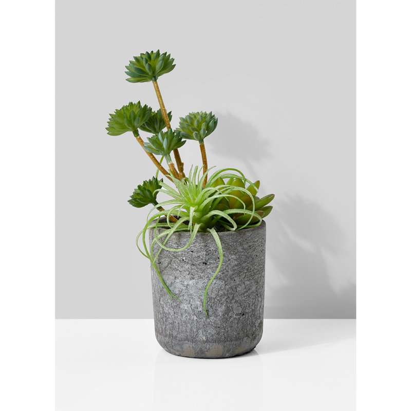 9'' Faux Succulent Plant in Cement Pot