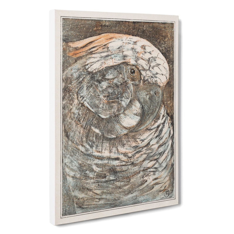 Head Of A Parrot by Theo Van Hoytema - Wrapped Canvas, 50cm H x 35cm W x 3cm D