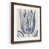 Walnut Framed Paper