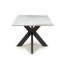 Dalonzo Four Leg Coffee Table-242054432