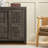 Bateson Modern Storage Accent Cabinet-1735891498