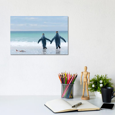 King Penguin Pair Entering Sea, Volunteer Beach, East Falkland Island, Falkland Islands 1 Piece Wrapped Canvas Wall Art