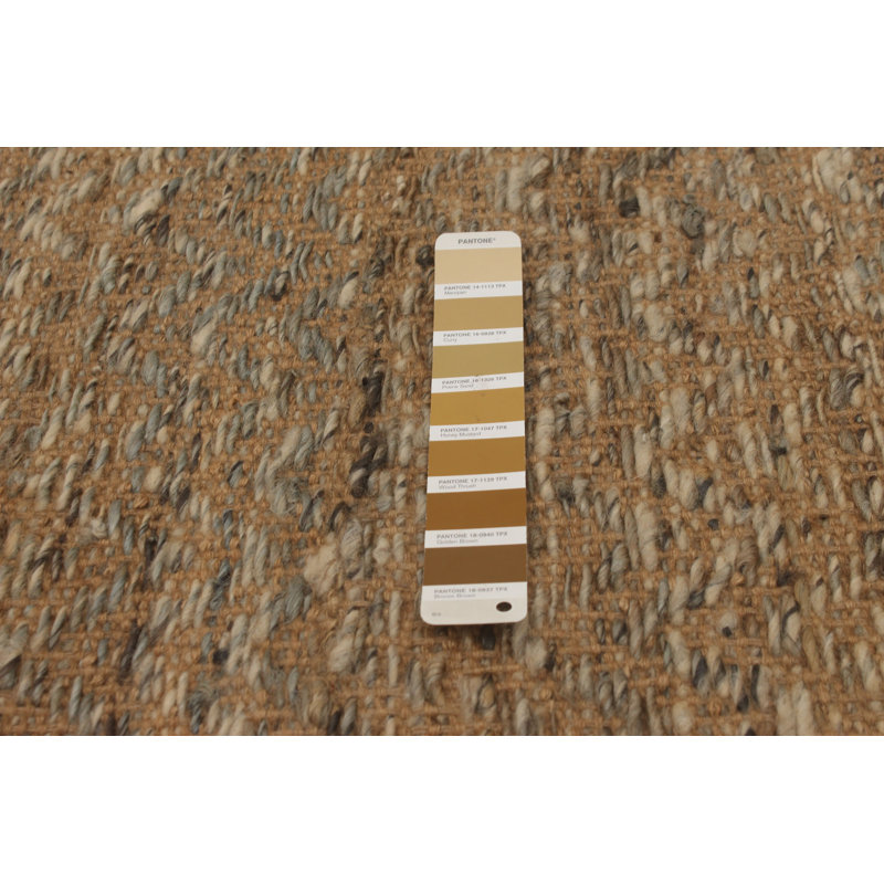 Tapis brun clair / ivoire / gris tissé à plat à la main Warrensburg