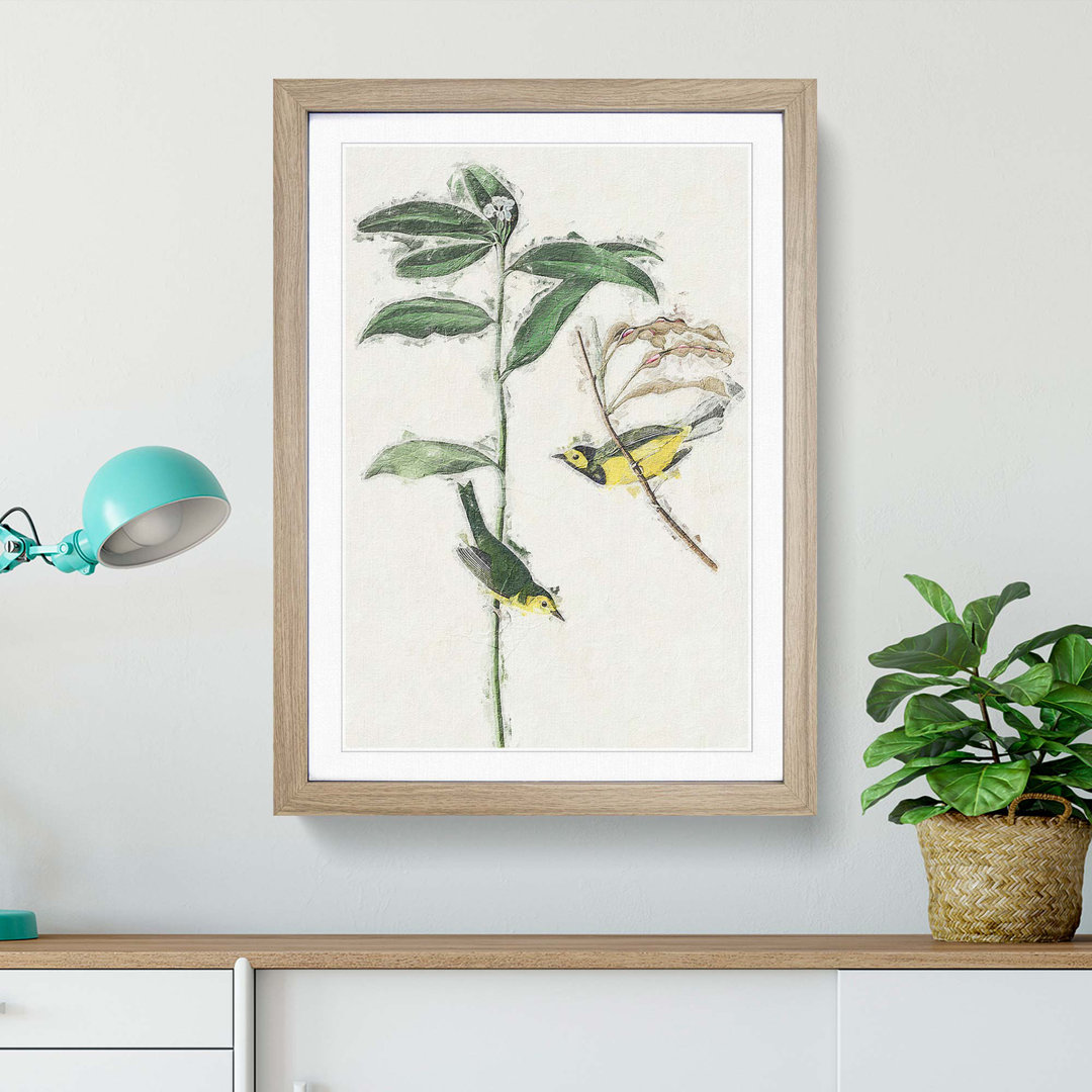 Hooded Warbler Birds by John Audubon - Picture Frame Painting Print