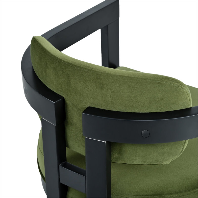 Indoor Upholstered Wood Dining Chair(Set Of 2),Green+Black