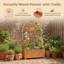 Wood Raised Garden Bed-1635542148