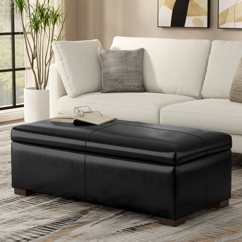 Gabbie 48"W Upholstered Vegan Leather Contemporary Rectangular Lift-Up Storage Ottoman Bench with Hidden Storage, Black