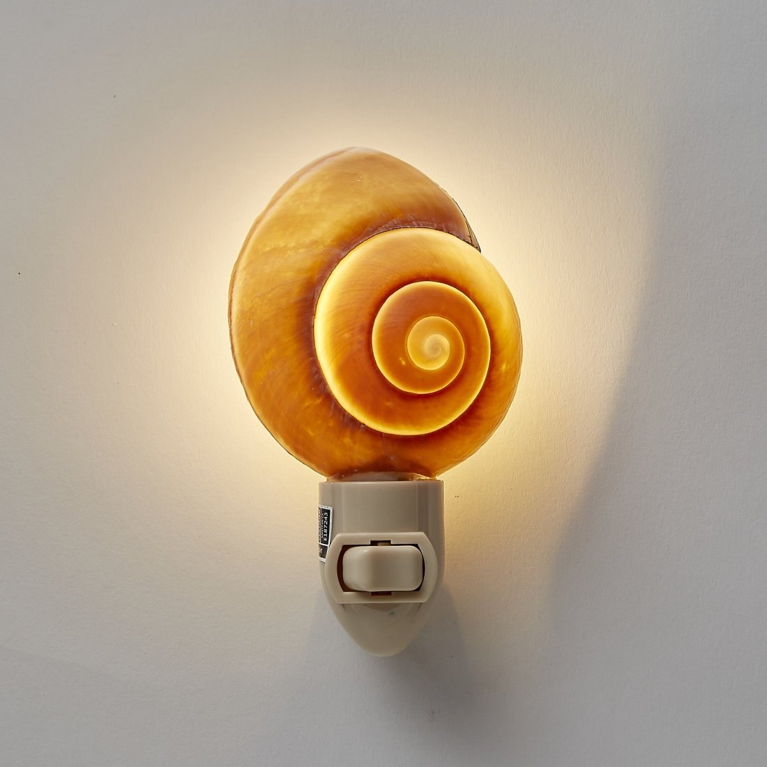 The Seashell Company Mountain Land Snail Shell LED Night Light | Wayfair