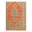 Oriental Area Rug in Rust