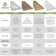 Americraft Two Equal Panel Framed Board-n-Batten Shutters (Per Pair)