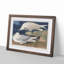 White-Winged Silvery Gull by John James Audubon - Framed Print-55641917-55641918