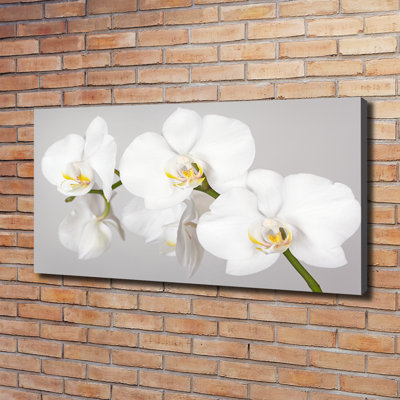 Orchid - Print