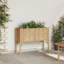 Pot Planter-335188593