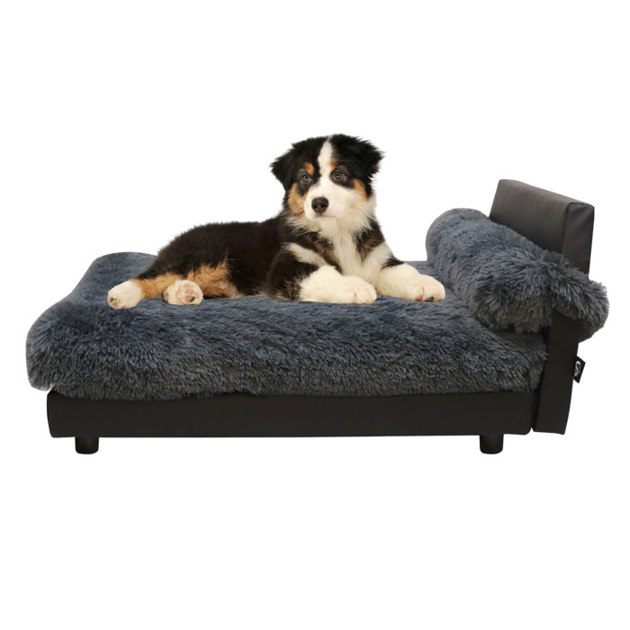 Tucker Murphy Pet™ Evelina Dog Sofa & Reviews | Wayfair